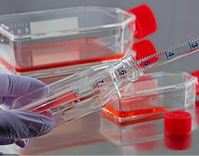 Microbiological Medical Testing Device