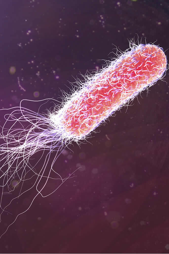 USP 62 Specified Microorganisms Product Testing